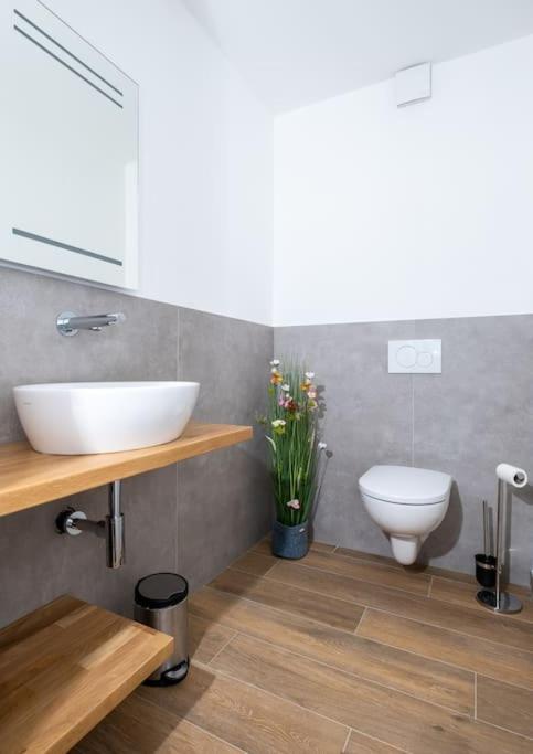 Ferienhaus Mountain View Six50 Mit Sauna Und Kamin In St. Andreasberg Sankt Andreasberg Bagian luar foto